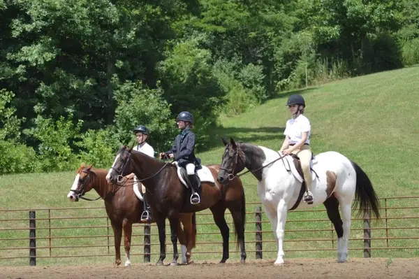Haven Hills Ranch LLC