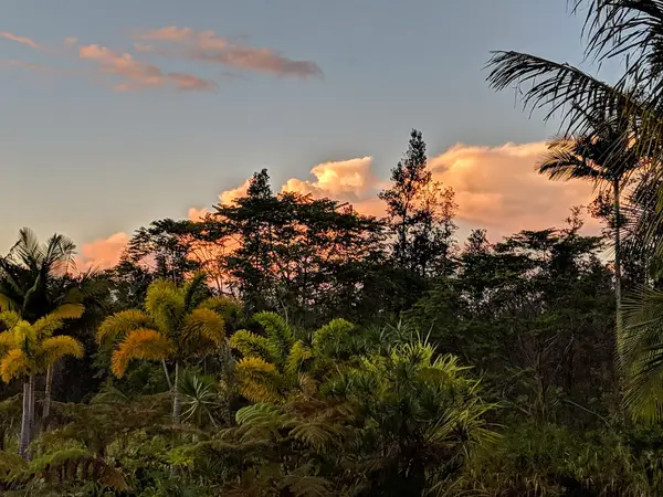 Hawaiian Acres