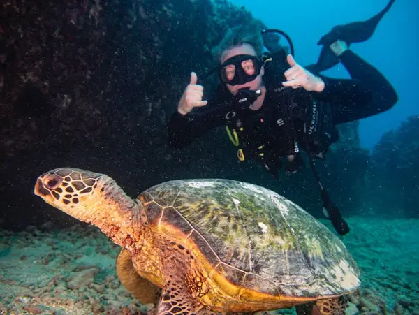Hawaiian Diving Adventures