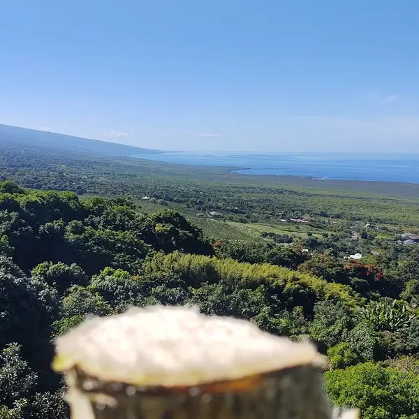 Hawaiian Paradise Park