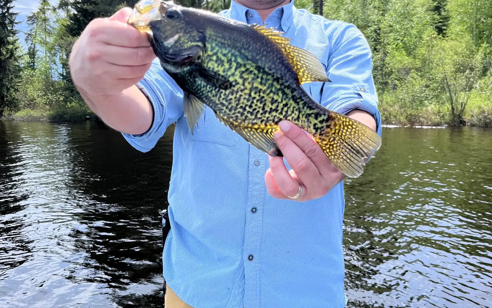 Hawk Lake Lodge