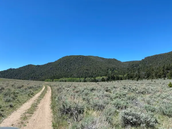 Hay Canyon Trail