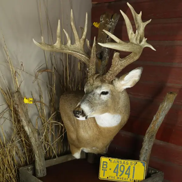 Heartland Pride Outfitters