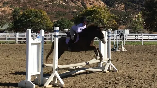 Heartland Ranch Equestrian Center, photo 4