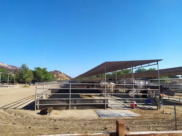 Heartland Ranch Equestrian Center, photo 3