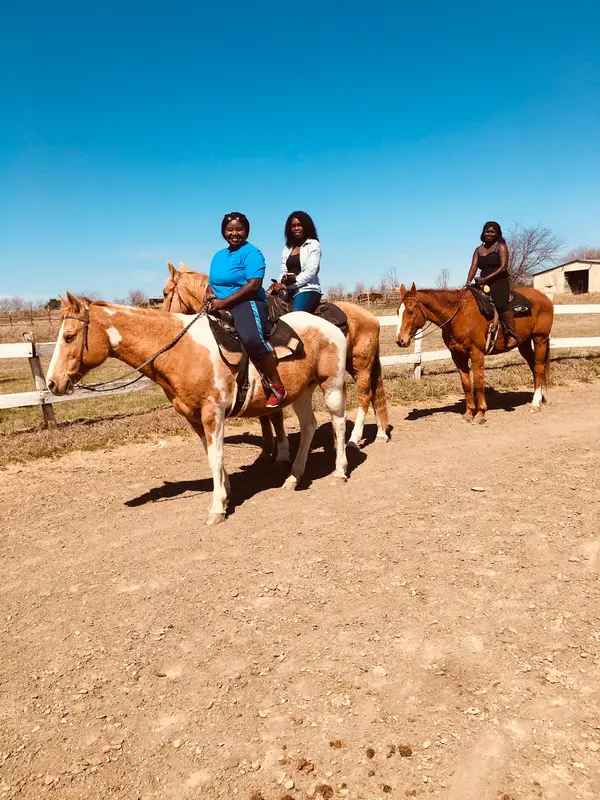 Heritage Hill Equestrian Center, photo 1