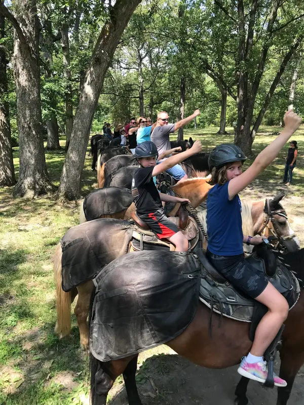 Hickory Hollow Horse Farm