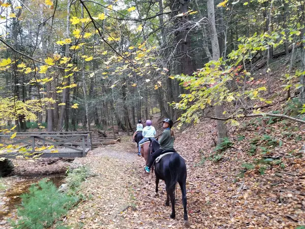Hidden Trails Stables