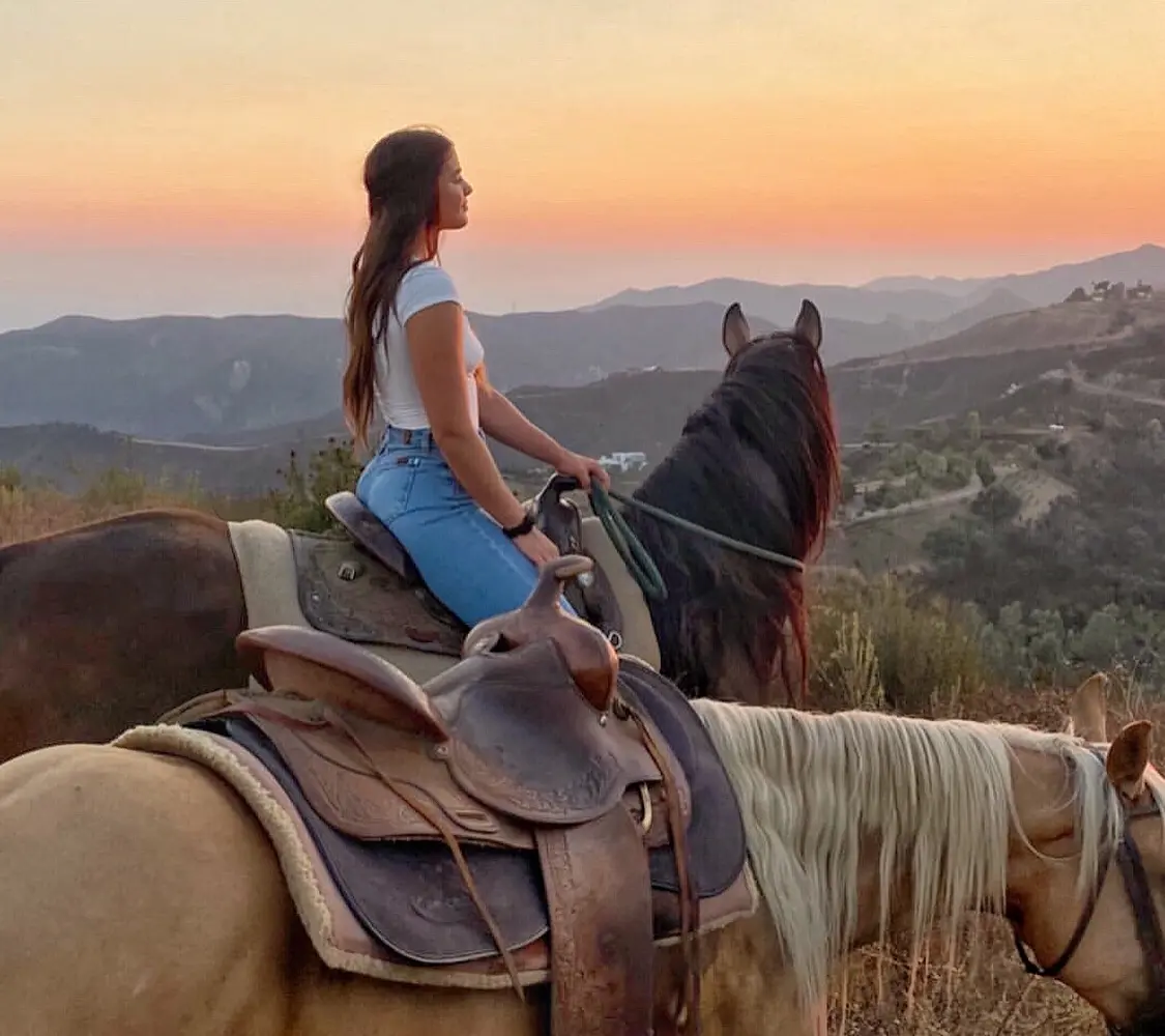 High Horse Malibu