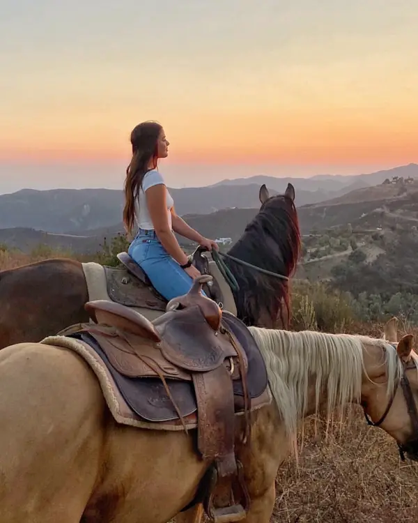 High Horse Malibu, photo 4