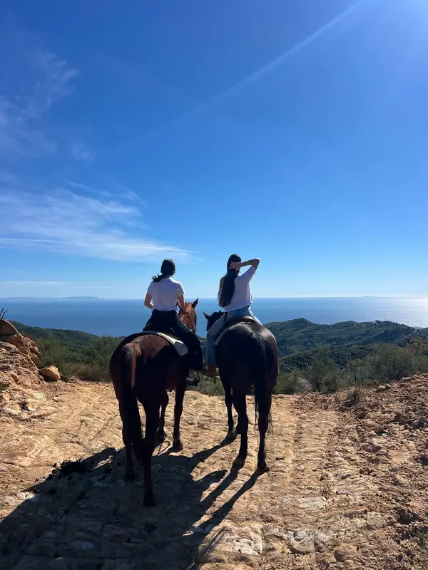 High Horse Malibu, photo 1