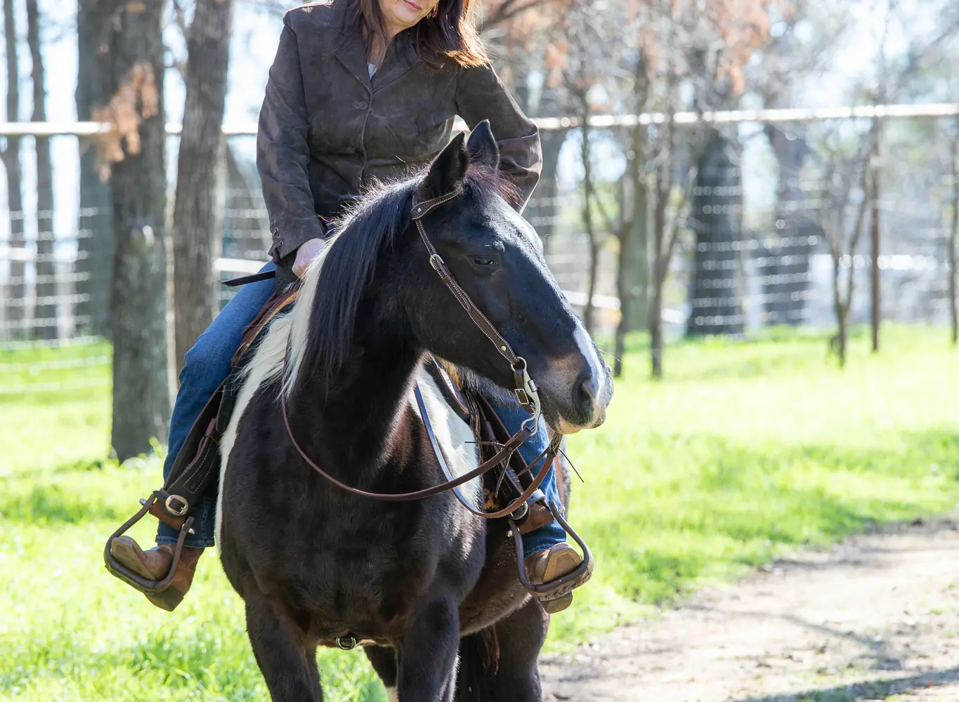 High Meadow Stables