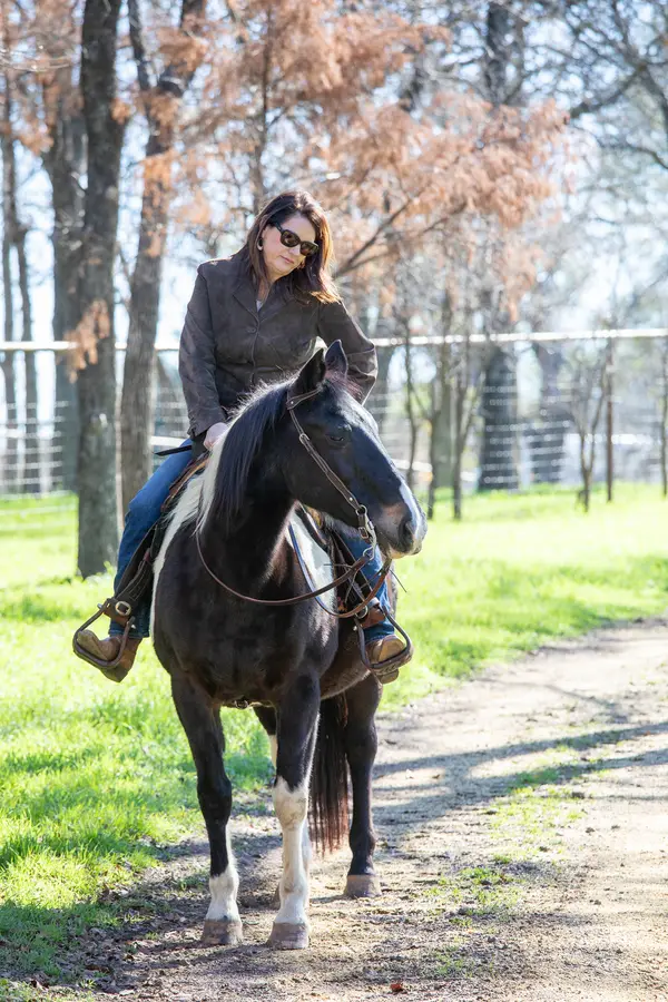 High Meadow Stables, photo 4