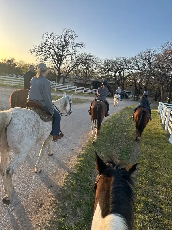 High Meadow Stables, photo 1