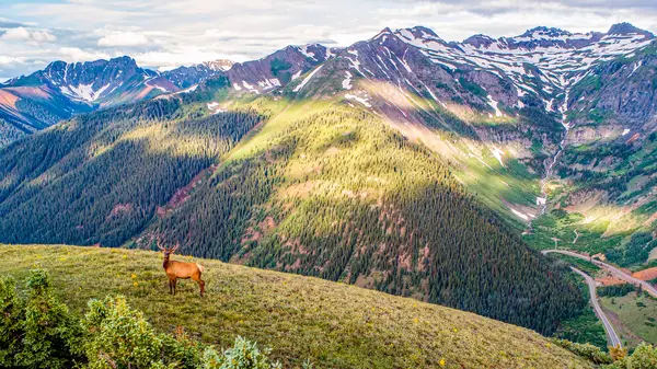 High Mountain Hunts, LLC