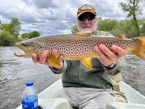High Plains Fly Fishing, Laramie, WY