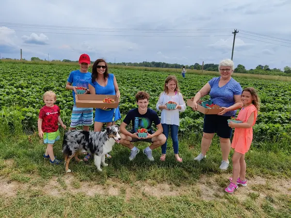 High's Berry Farm, Ozark, MO