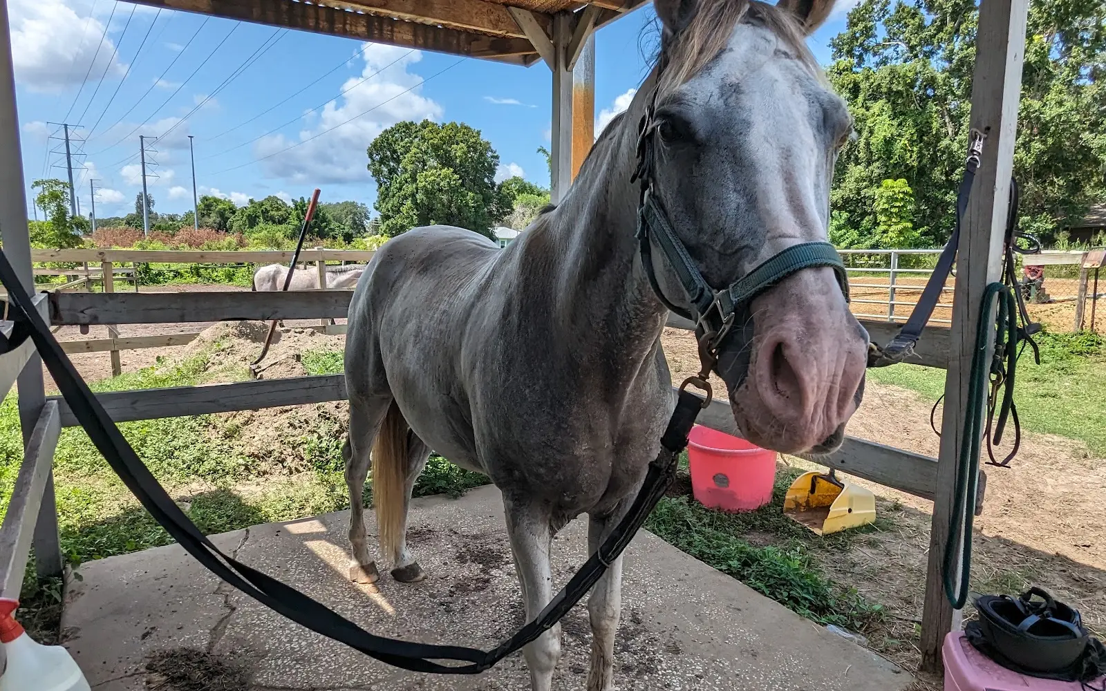 High Tide Equestrian Center