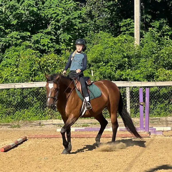 High Tide Equestrian Center, photo 1