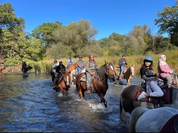 High Vibe Trail Rides