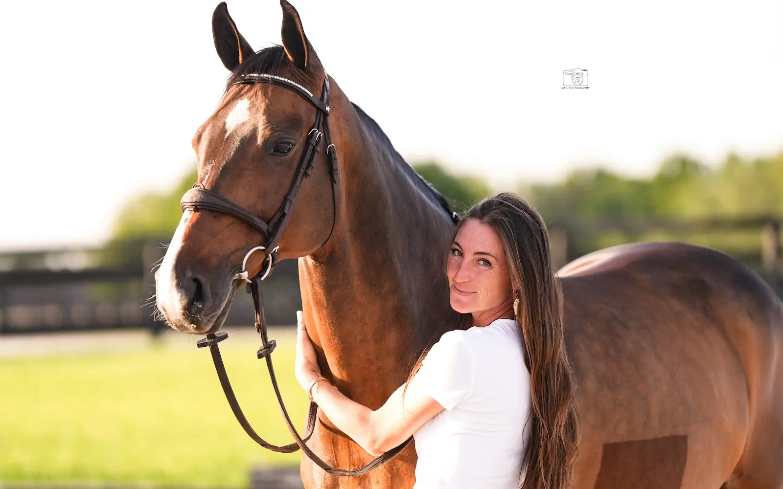Higher Ground Stables