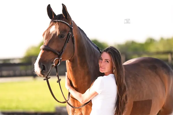 Higher Ground Stables, photo 4