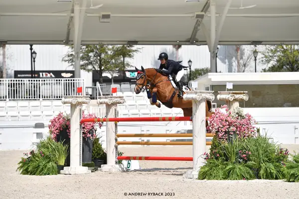 Higher Ground Stables, photo 3