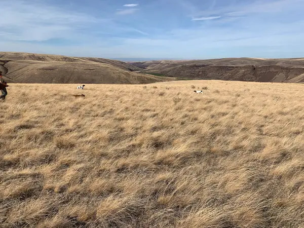 Highland Hills Ranch