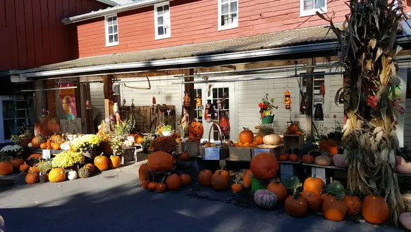 Highland Orchards Farm Market, Wilmington, DE