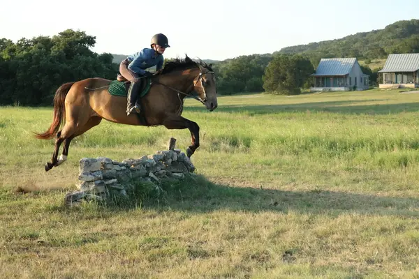 Hill Country Equestrian Lodge, photo 4