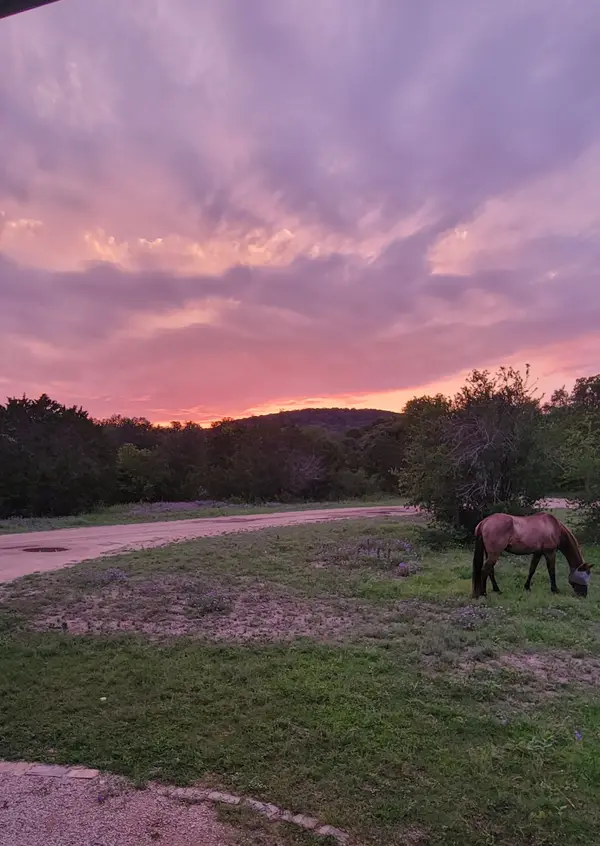 Hill Country Equestrian Lodge, photo 2