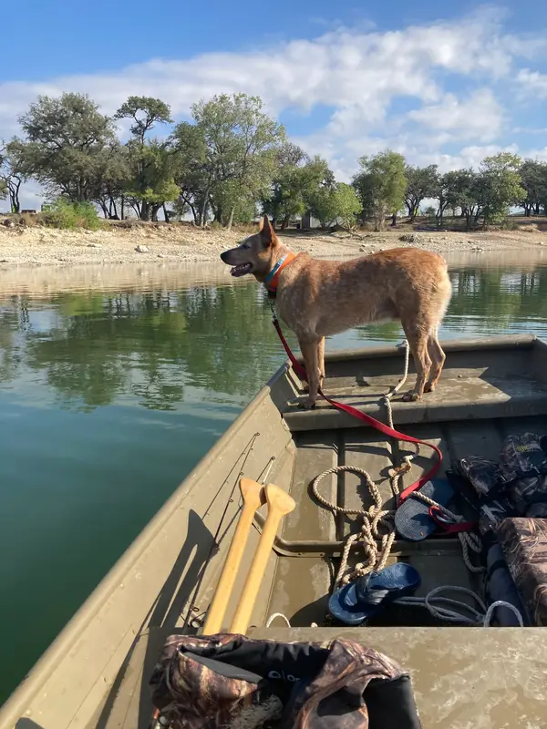Hill Country Paddle Sports, photo 3