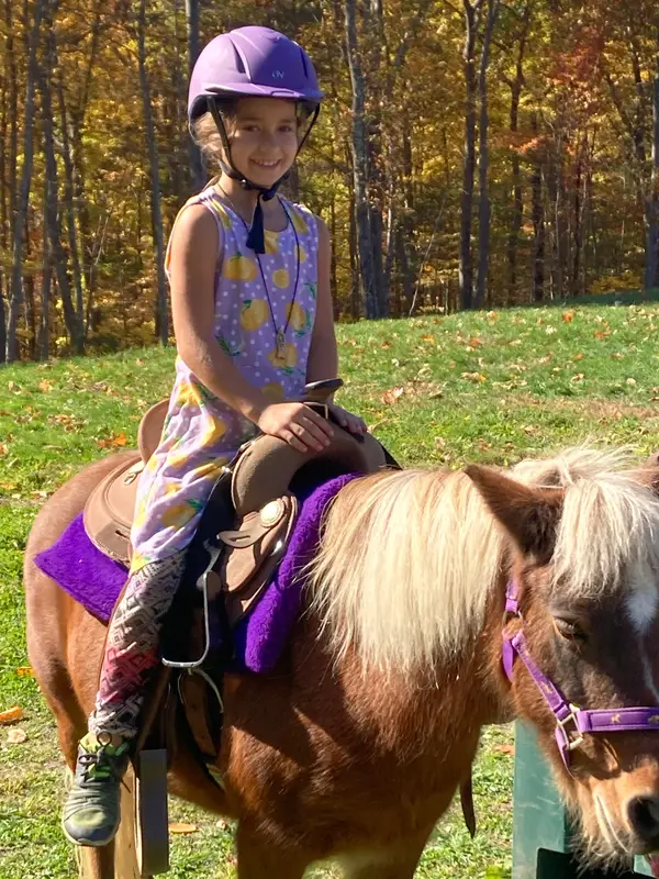 Hillside Stable LLC