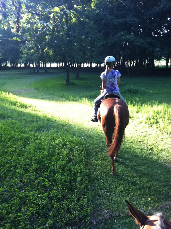 Hillside Stables