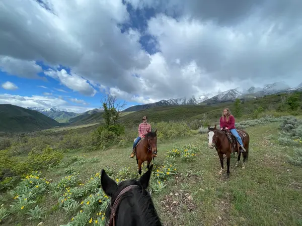 Hobble Creek Outfitters