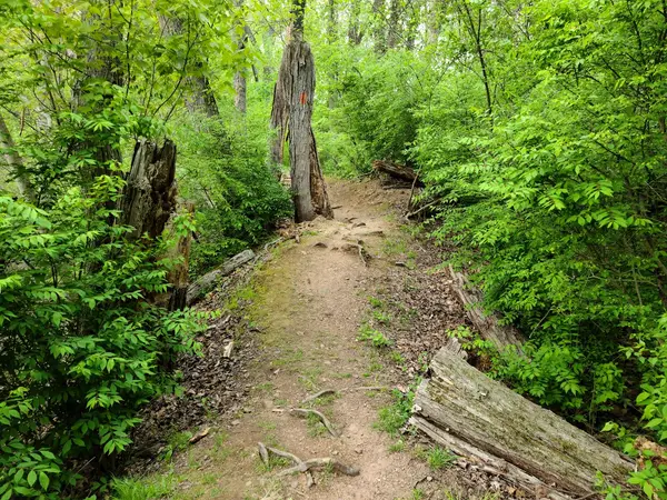 Hockanum River Park Trail - North