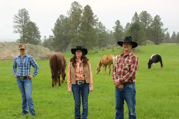 Hollingsworth Horses, Custer, SD