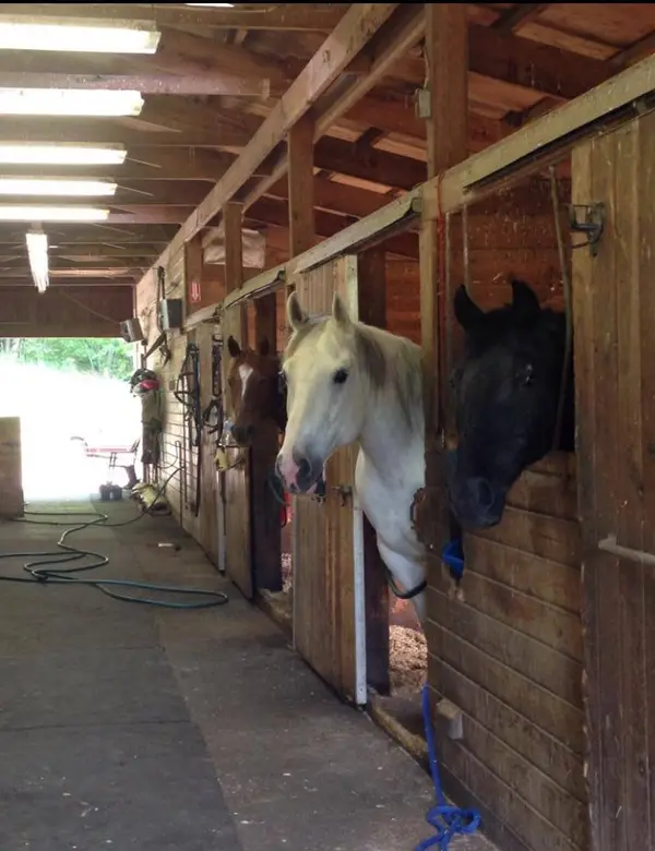 Hollow Brook Riding Academy