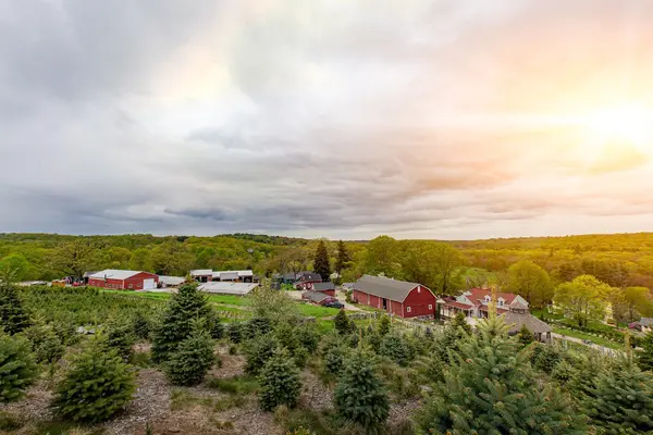 Homestead Farm of Jones Family Farms, Shelton, CT