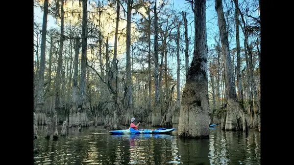 Honey Island Kayak Tours, Pearl River, LA