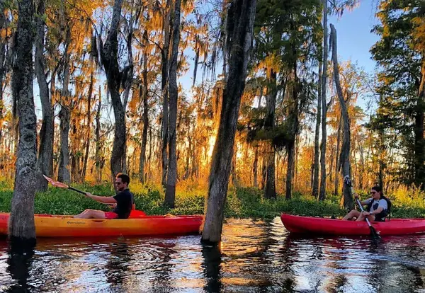 Honey Island Swamp Kayak Tours, Pearl River, LA