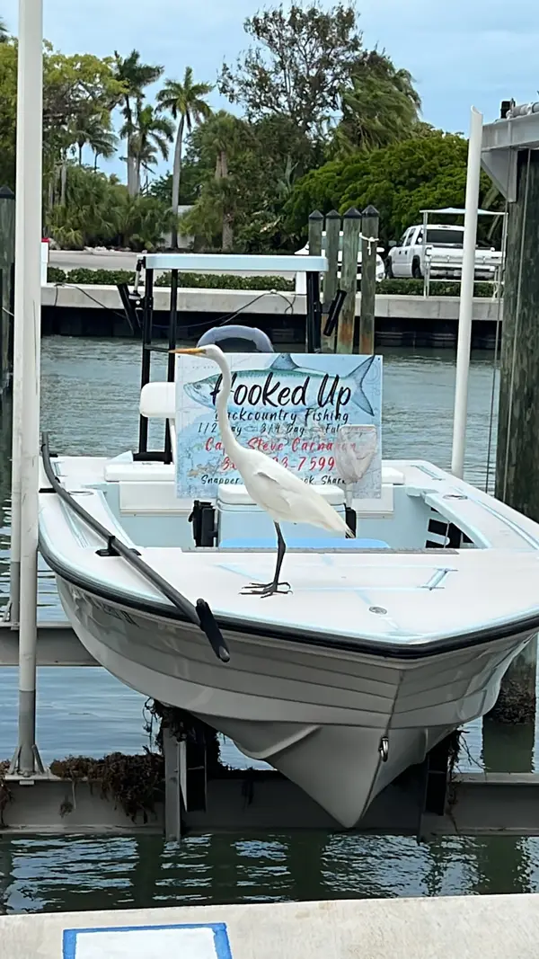 Hooked Up Backcountry Fishing