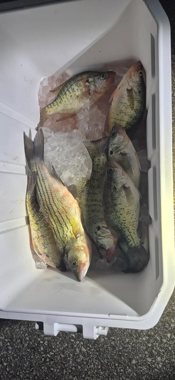 Hooked Up Guide Service