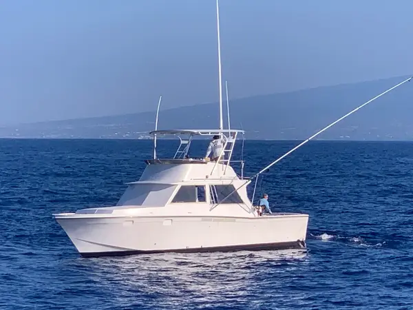 Hooked Up Sportfishing, Kailua-Kona, HI