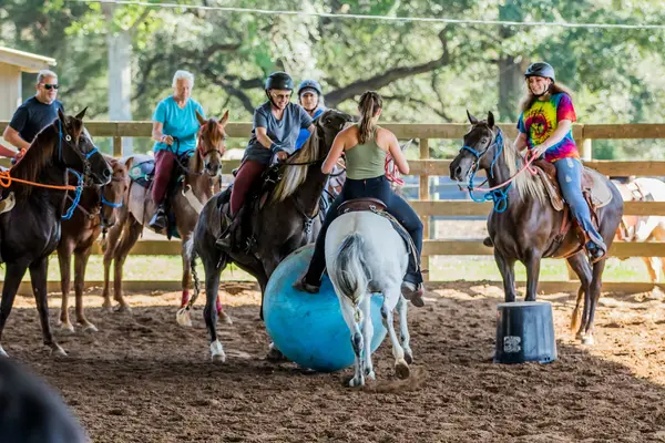 Horse Help (Gascon Horsemanship)