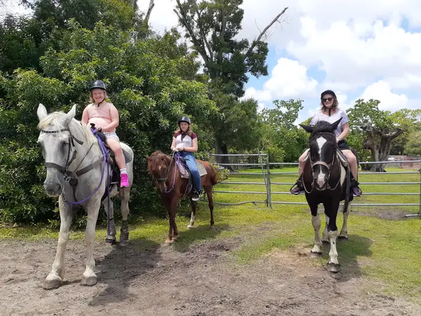 Horseback Riding Tours and Adventures Cypress Breeze Farm, photo 1