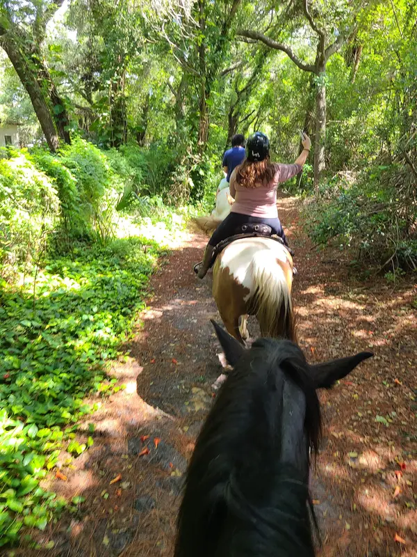 Horseback Riding Tours and Adventures Cypress Breeze Farm, photo 2