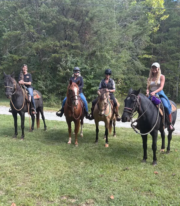 Horseback Waterfall Tours, Pickens, SC