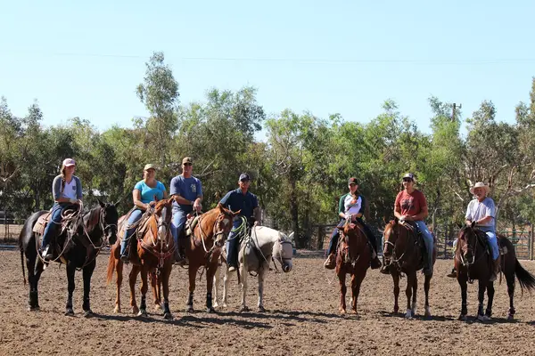 Horsequarters Boarding Stable, photo 4