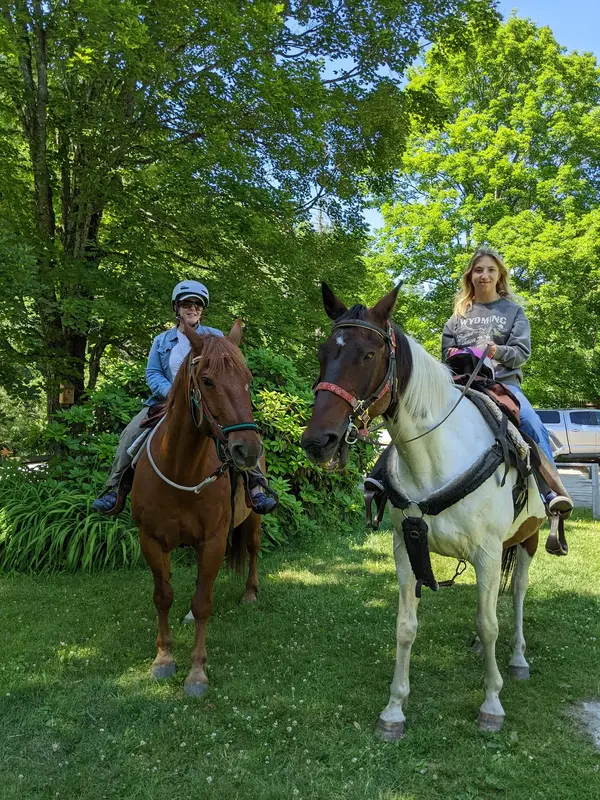 Horses For Hire